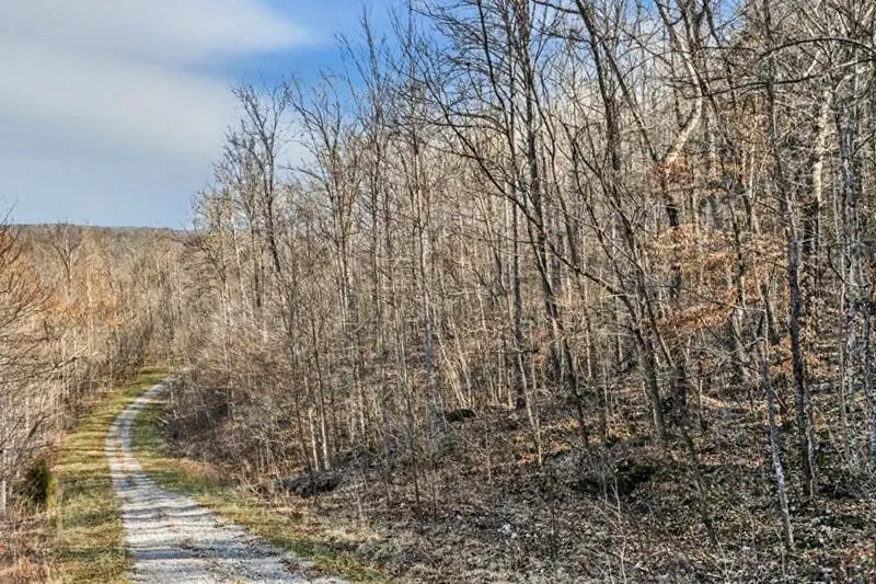 0 W Bobcat Ln, Grimsley, TN 38565 - #3