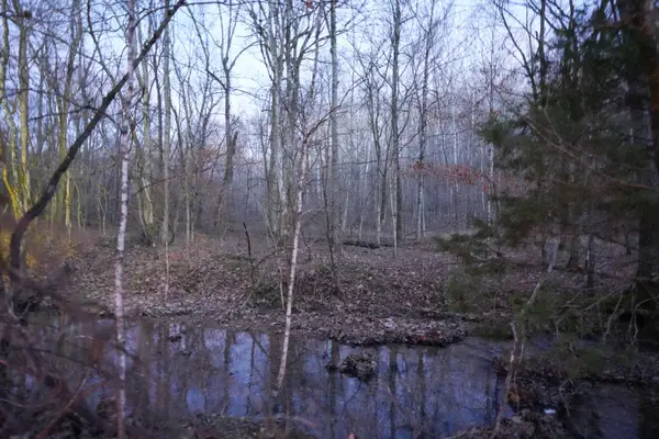 4 John Ross Hollow Rd, Erin, TN 37061