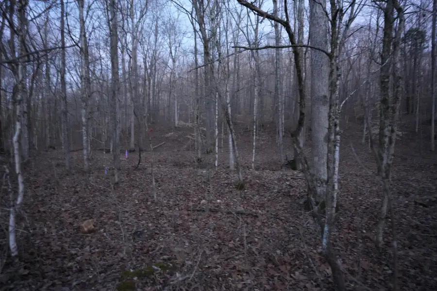 4 John Ross Hollow Rd, Erin, TN 37061 - #2