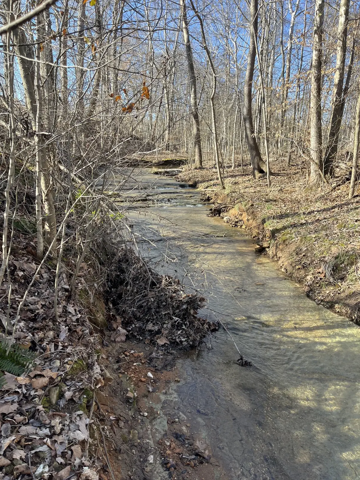 4061 Sawmill Rd, Woodlawn, TN 37191 - #1