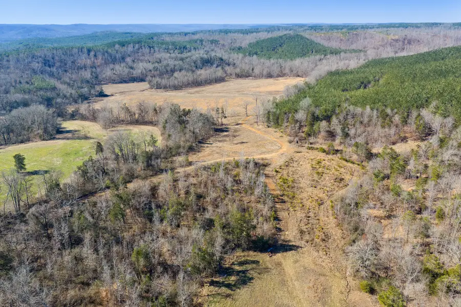 0 Mt Carmel Road, Decaturville, TN 38329 - #2