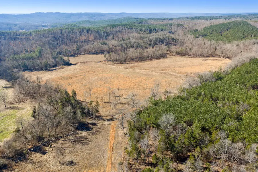 0 Mt Carmel Road, Decaturville, TN 38329 - #3