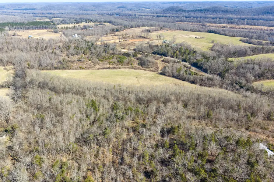 0 Mt Carmel Road, Decaturville, TN 38329 - #3
