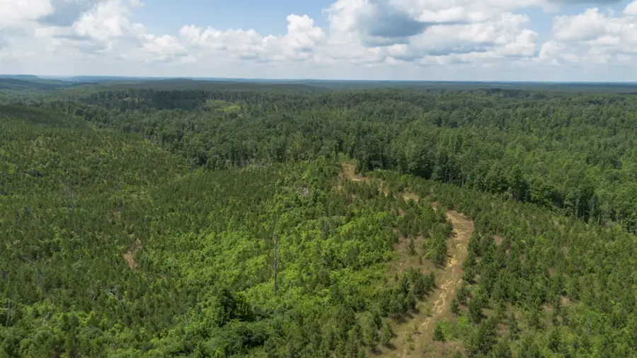 0 Low Gap Road, Sugar Tree, TN 38380 - #2