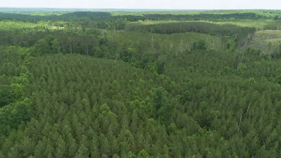 0 Old State Hwy 69, Sugar Tree, TN 38380 - #2