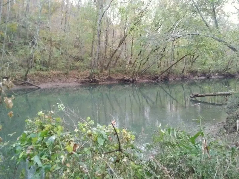 351 Rocky River Road, Rock Island, TN 38581 - #3