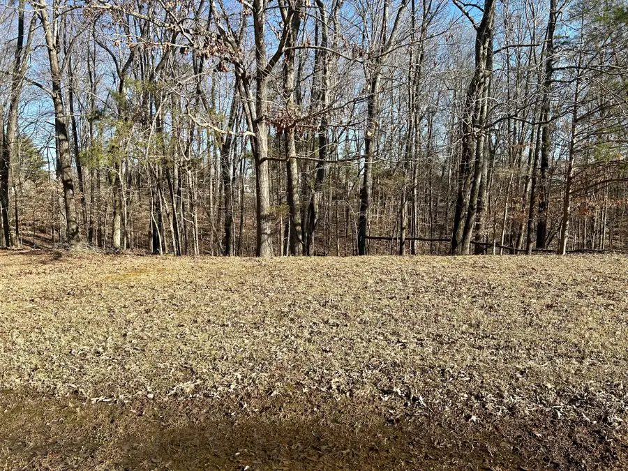 0 Perrys Place, Lynchburg, TN 37352 - #2