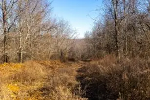 0 White Oak Rd, Stewart, TN 37175 - #3