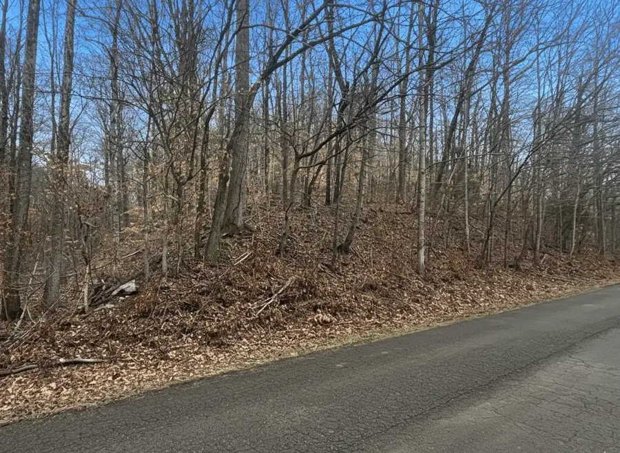 0 Brown Mill Rd, McEwen, TN 37101 - #2