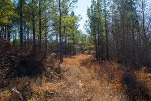 0 White Oak Rd, Stewart, TN 37175 - #2