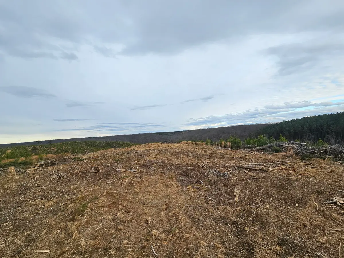 0B Waynesboro Hwy, Waynesboro, TN 38485 - #1