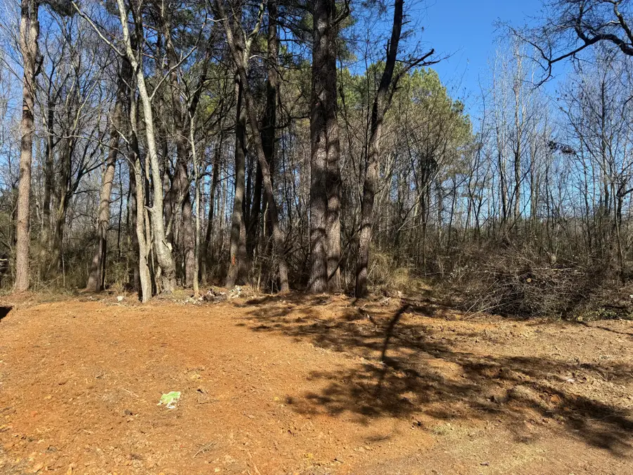 17315 Al Highway 251, Athens, AL 35613 - #3