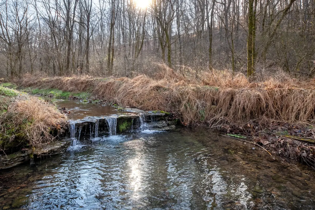 2171 Simmons Ridge Rd, Cornersville, TN 37047 - #1