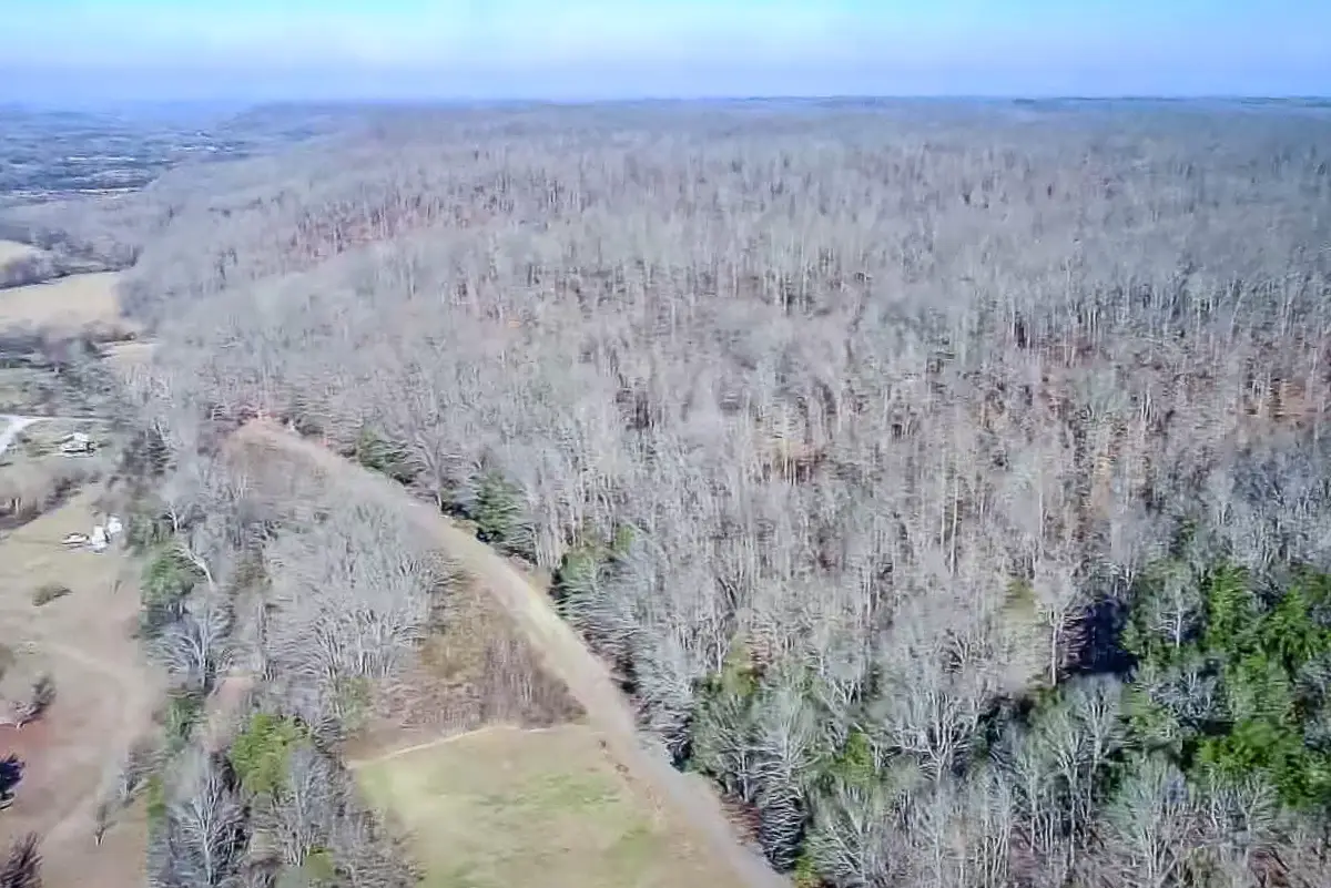 0 Mayberry Prong Rd, Linden, TN 37096 - #1