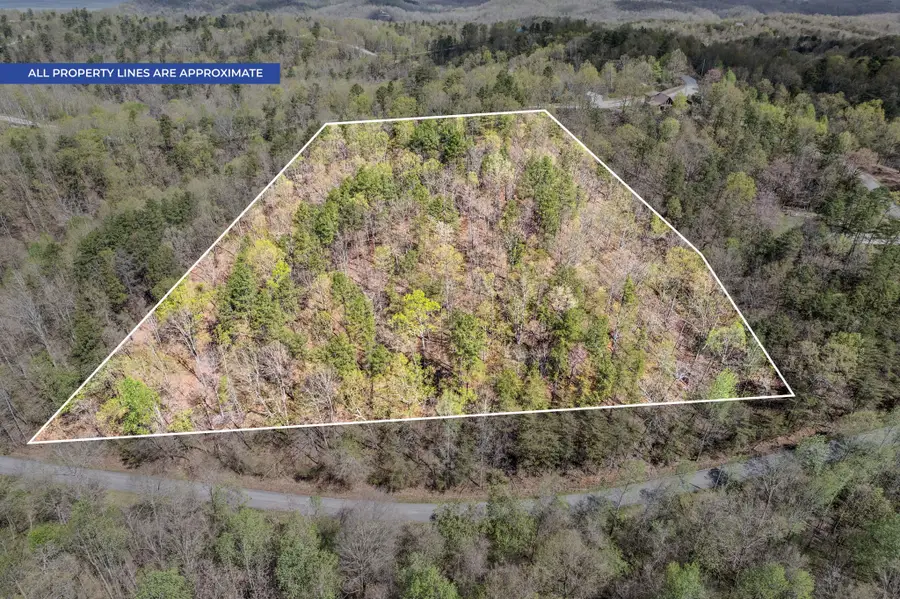 81 Crest Ct, Waverly, TN 37185 - #2