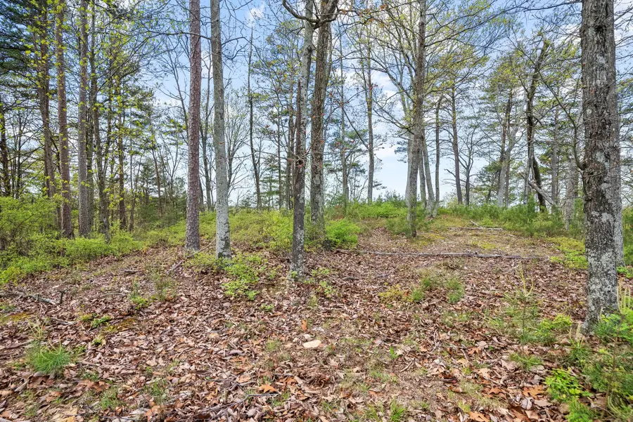 81 Crest Ct, Waverly, TN 37185 - #3