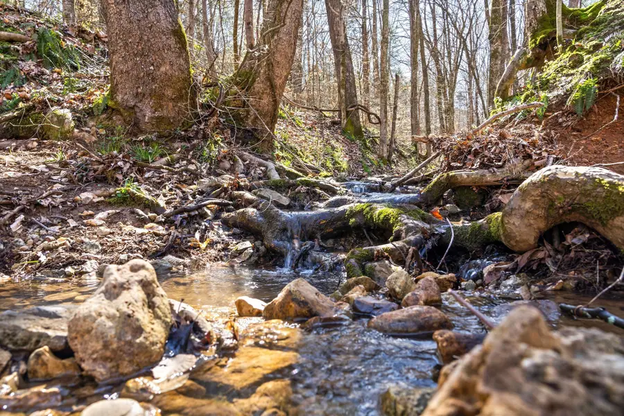 1 Ferry Rd, Clarksville, TN 37040 - #3