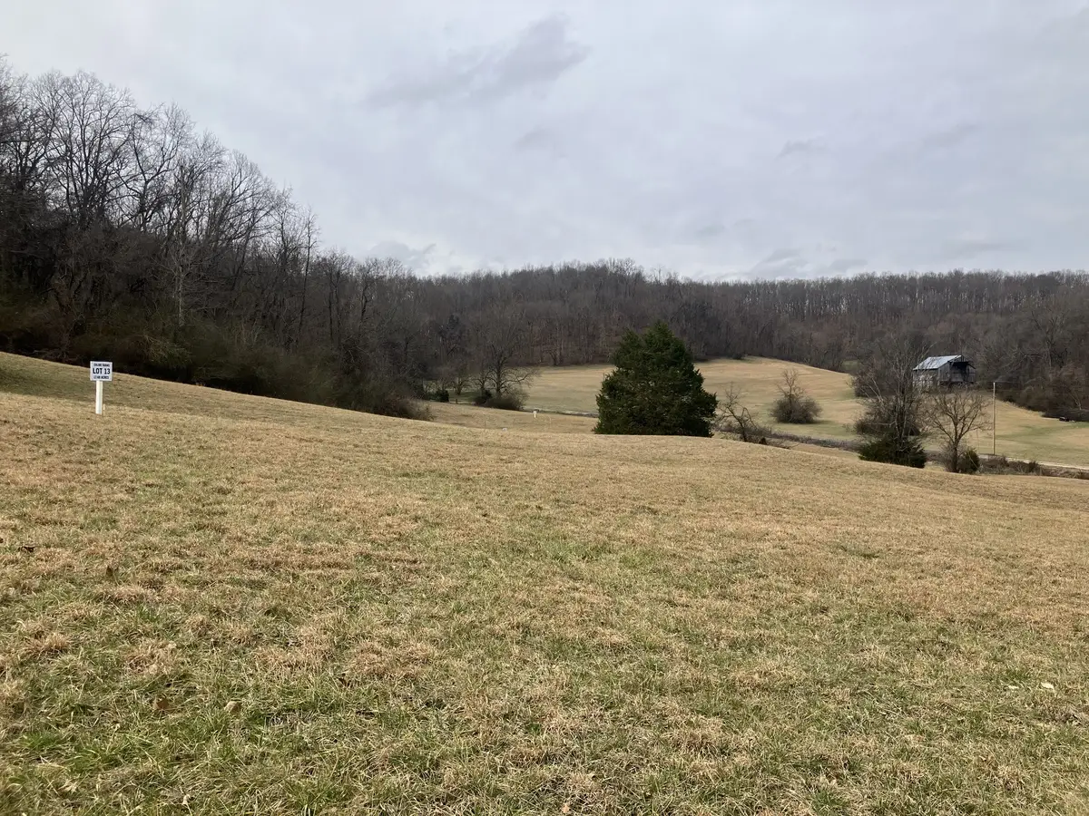 13 Booker Ridge Rd, Mount Pleasant, TN 38474 - #1