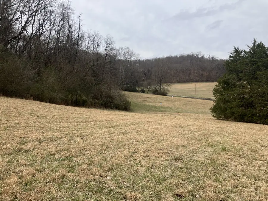 13 Booker Ridge Rd, Mount Pleasant, TN 38474 - #3