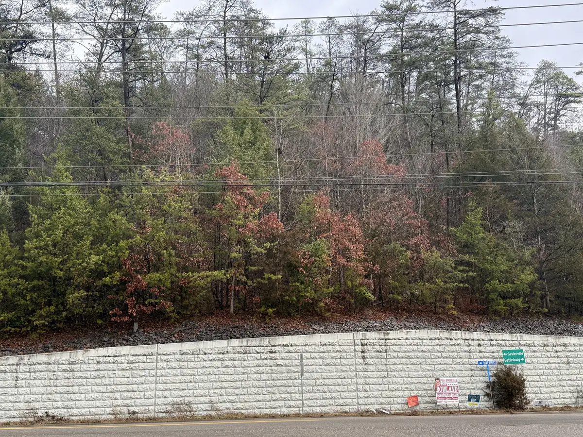 0 Birds Creek, Sevierville, TN 37876 - #1