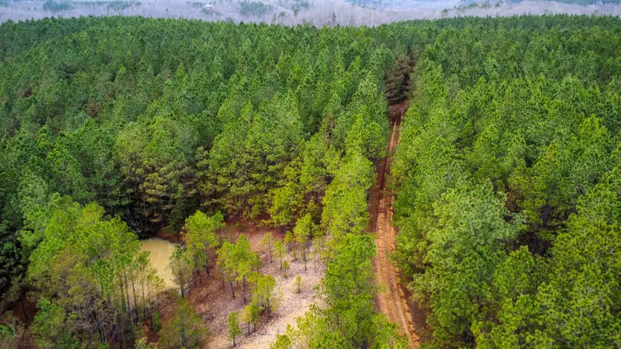 0 Indian Creek Rd, Hohenwald, TN 38462 - #2