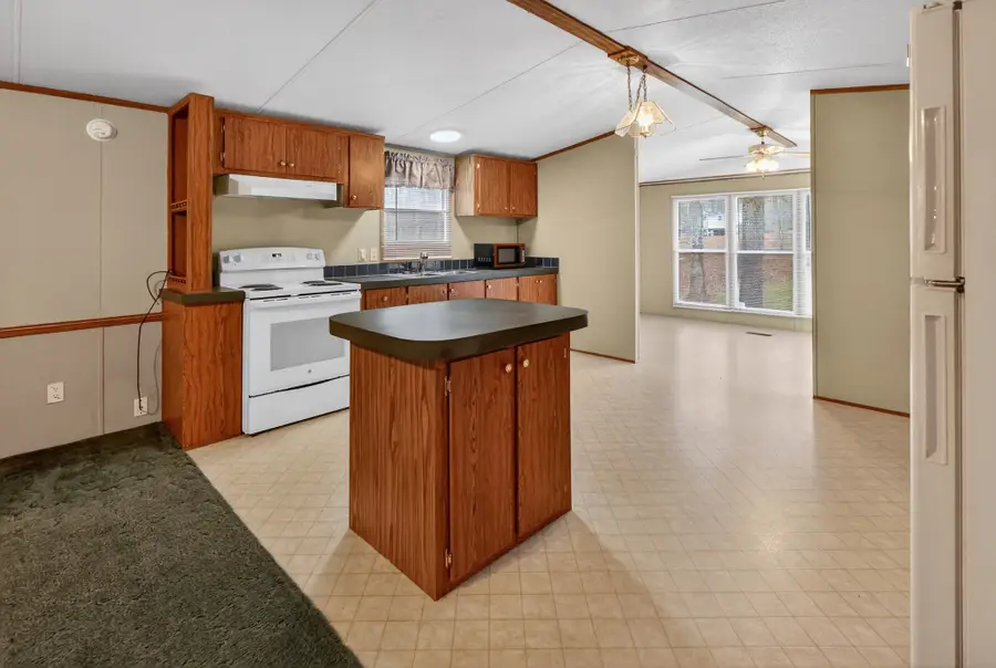 898 Overhead Bridge Rd, Hampshire, TN 38461 - #2