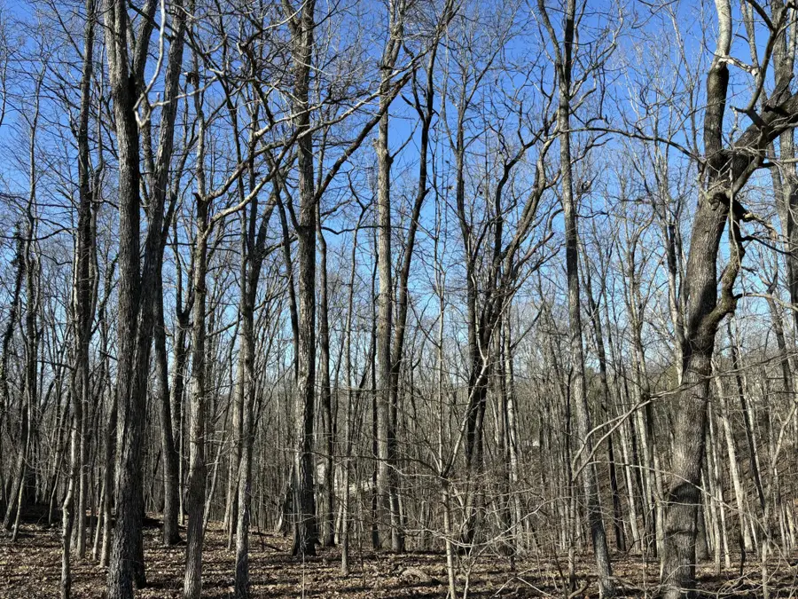 239 Amherst Lane, Crossville, TN 38558 - #3