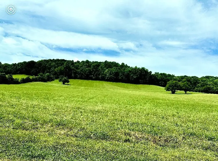 165 Golden Hollow Rd, Kelso, TN 37348 - #2