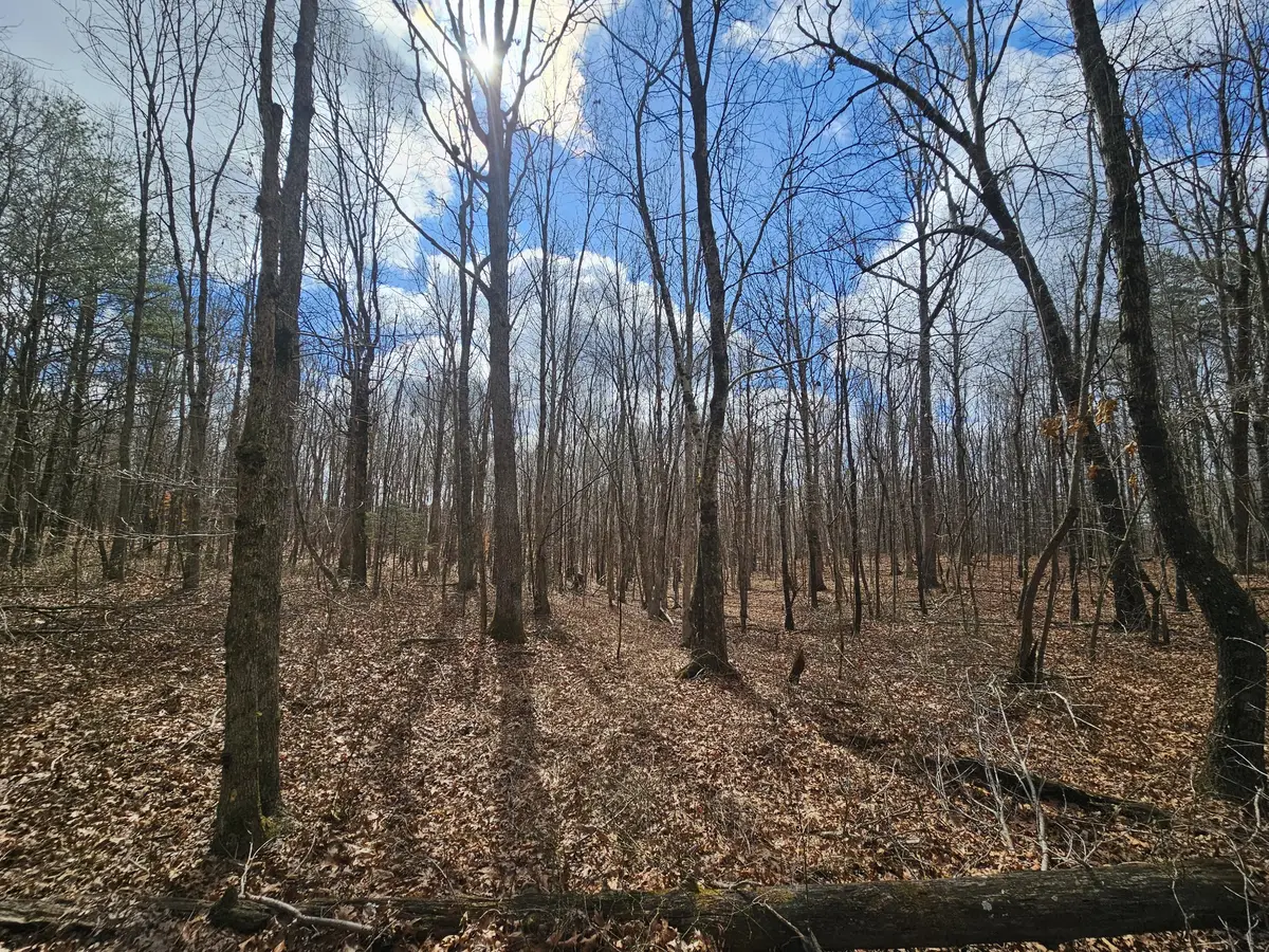 10 Griswold Road, Altamont, TN 37301 - #1