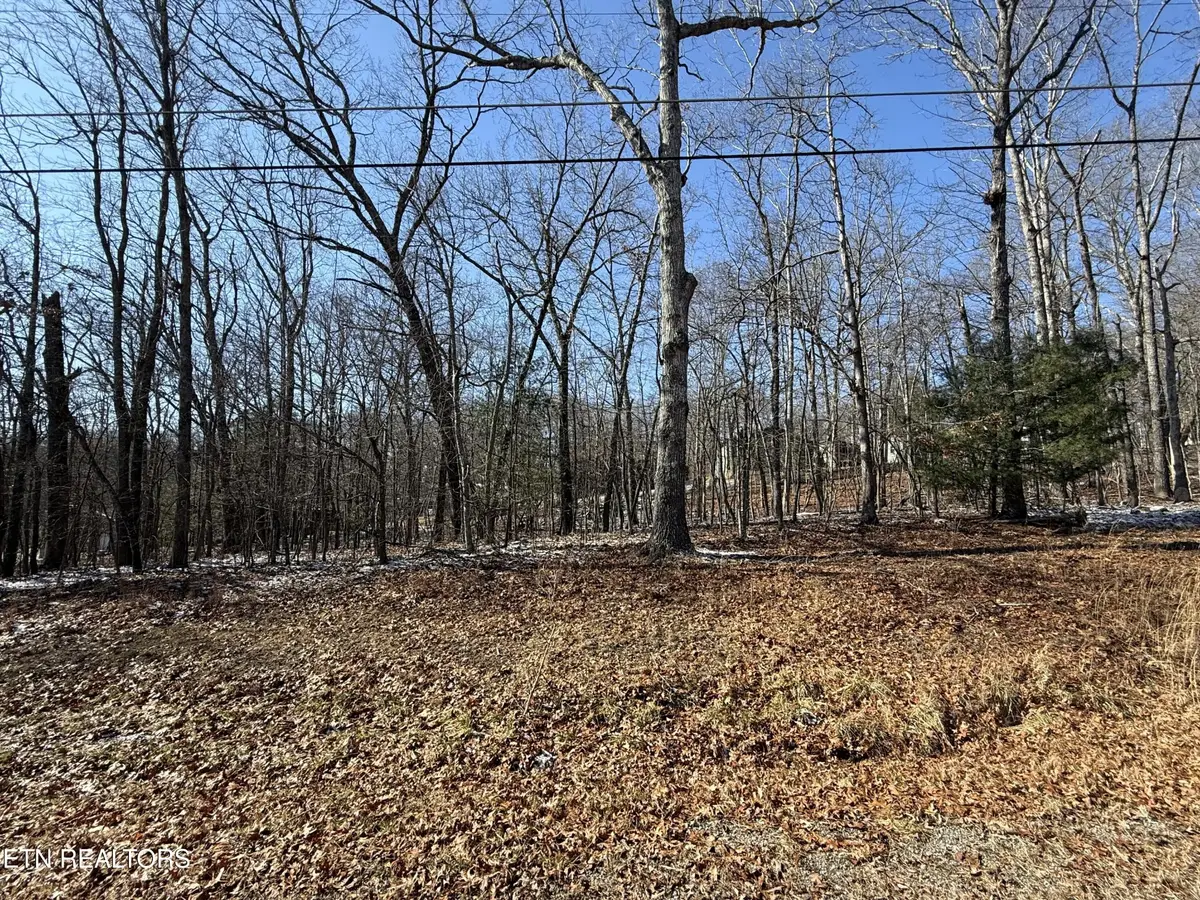 116 Kings Down Drive, Crossville, TN 38558 - #1