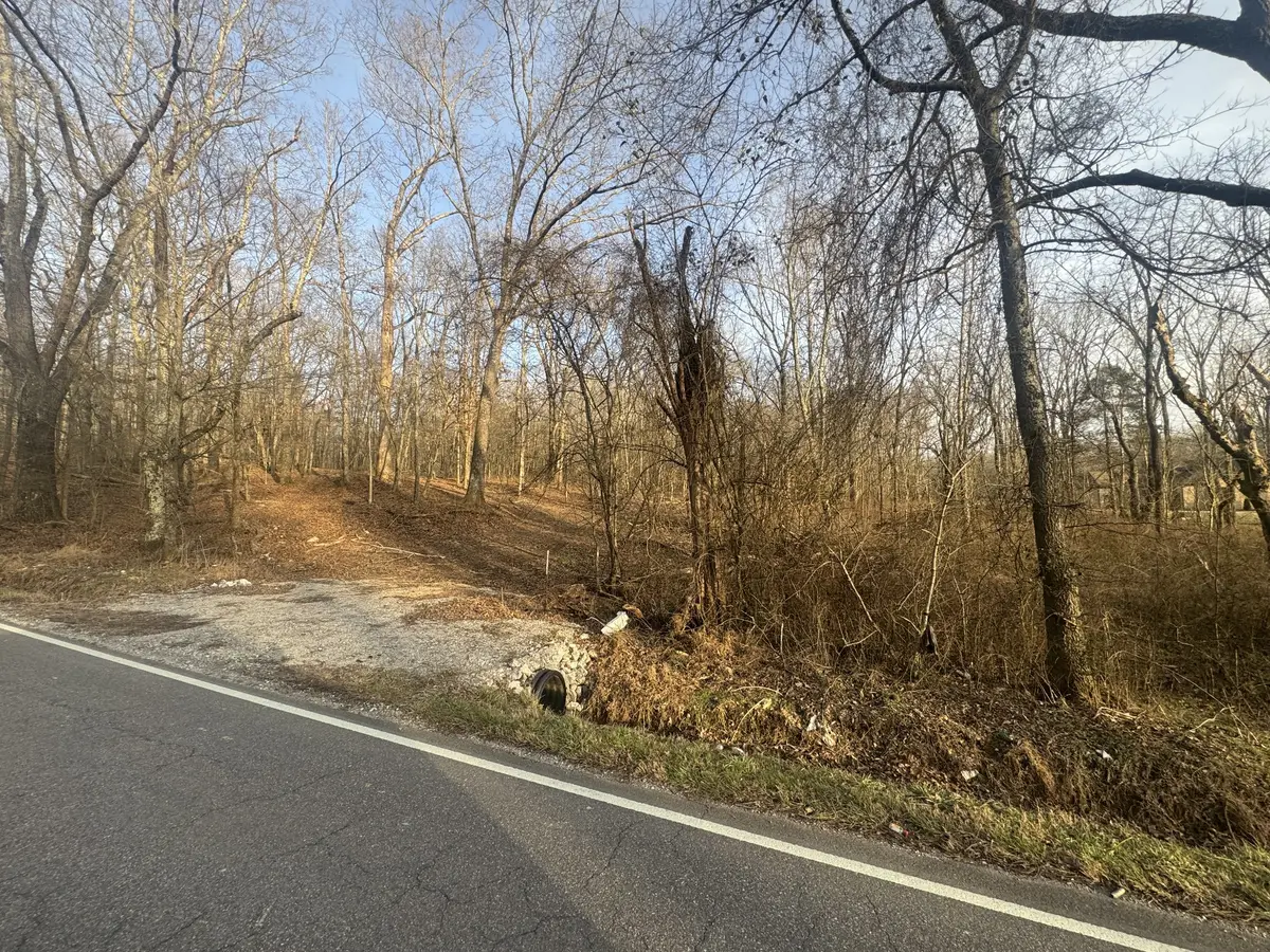 340 North Old Military Rd, Summertown, TN 38483 - #1