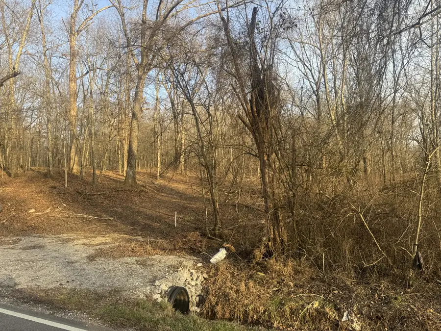 340 North Old Military Rd, Summertown, TN 38483 - #3