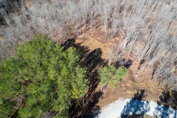 2340 Bear Hollow Drive, Waverly, TN 37185