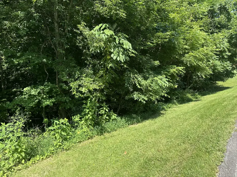 0 Reed Rd, Indian Mound, TN 37079 - #2