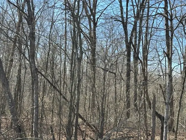 0 Pinewood Rd, Primm Springs, TN 38476 - #3