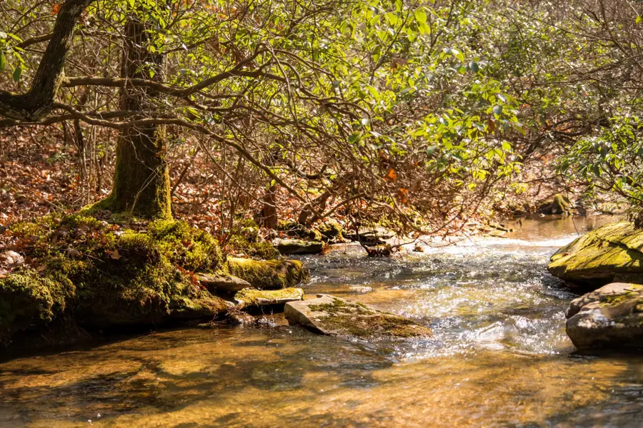 0 Deer Run Road, Altamont, TN 37301 - #3