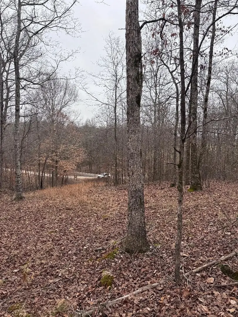 0 Old State Highway 13, Hurricane Mills, TN 37078 - #2