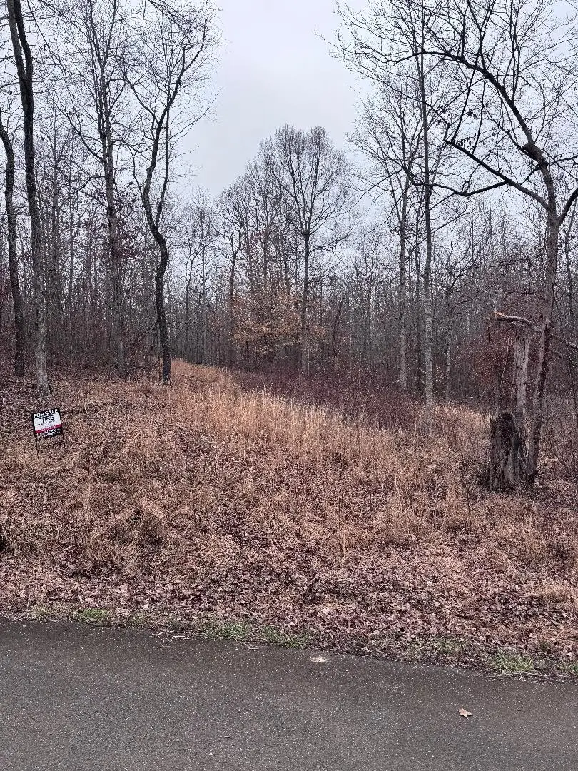 0 Old State Highway 13, Hurricane Mills, TN 37078 - #3