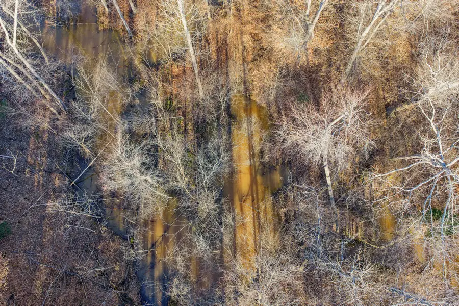 0 Hwy 114 W, Scotts Hill, TN 38374 - #3