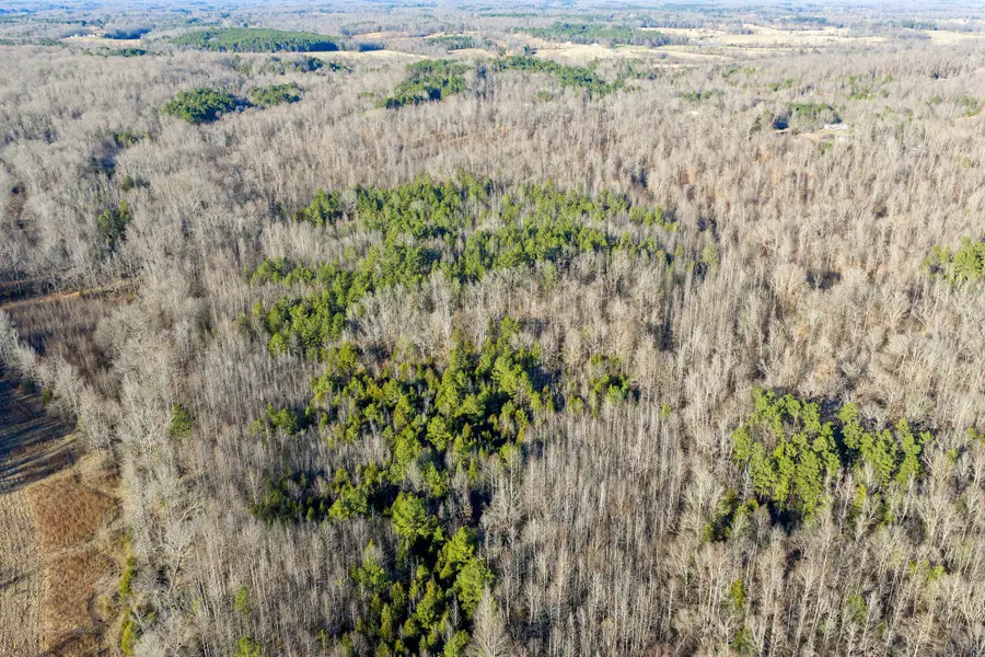 0 Hwy 114 W, Scotts Hill, TN 38374 - #3