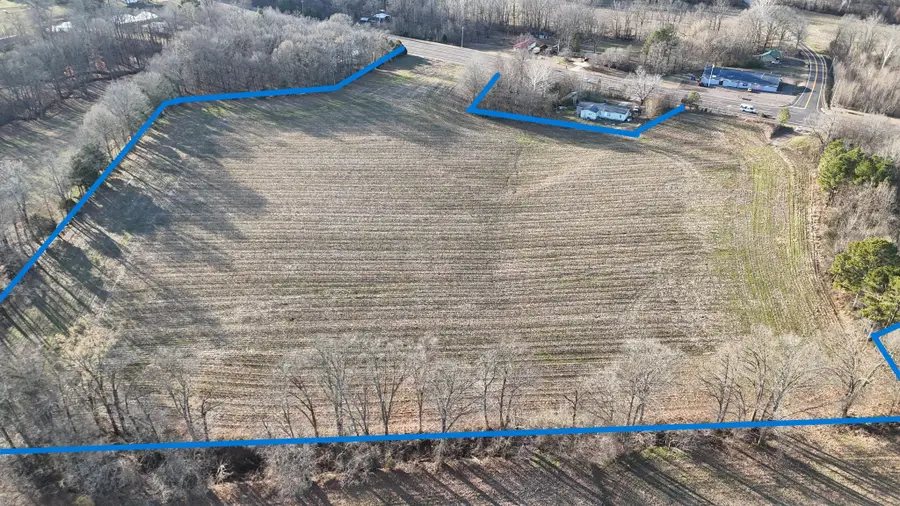 0 Highway 79, Mc Kenzie, TN 38201 - #3