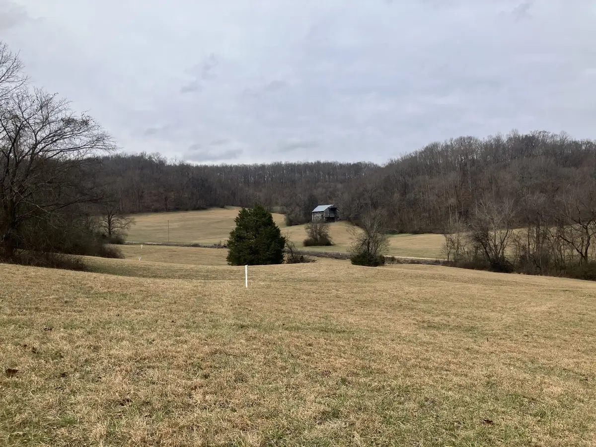 12 Booker Ridge Rd, Mount Pleasant, TN 38474 - #1