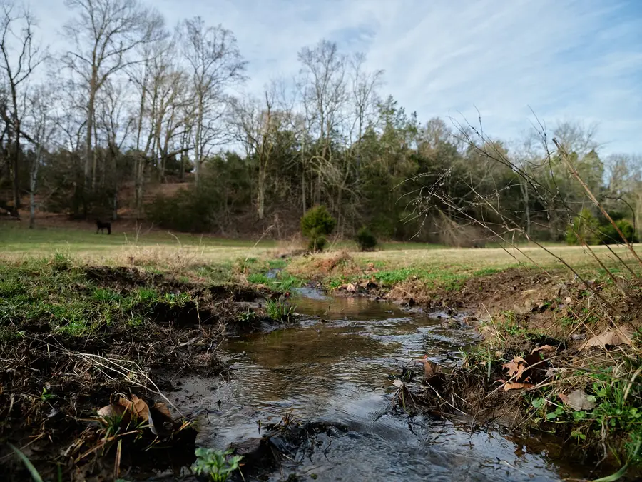 1462 Old Highway 99, Columbia, TN 38401 - #2