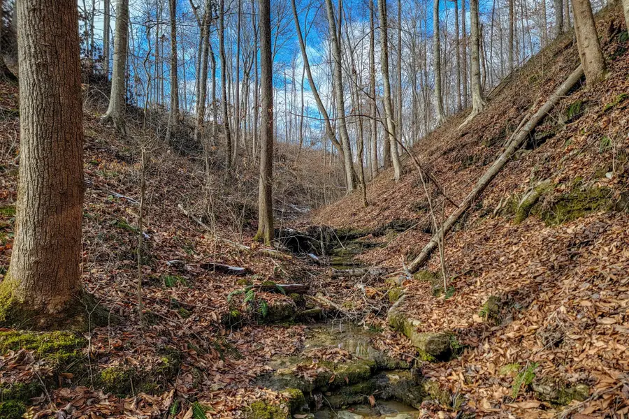 0 Hutchins Bend Rd, Sparta, TN 38583 - #2