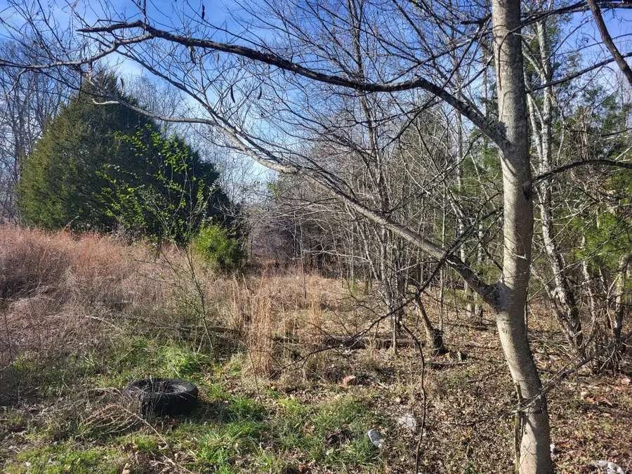 1 Cyclone Lane, Waverly, TN 37185 - #3