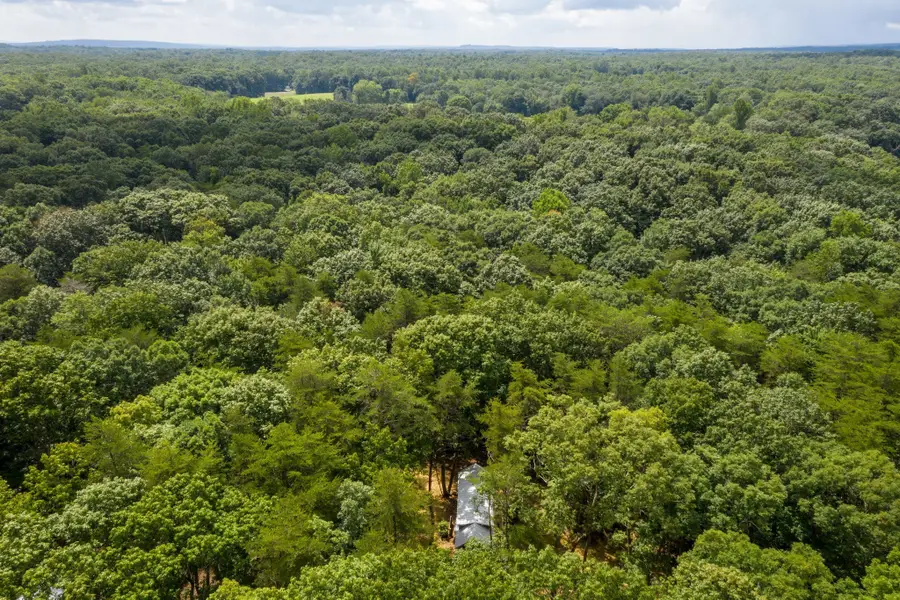 484 Deer Lick Trail, Monteagle, TN 37356 - #3