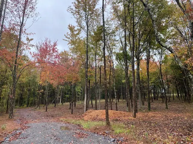 7878 Bill Moss Rd, White House, TN 37188 - #3