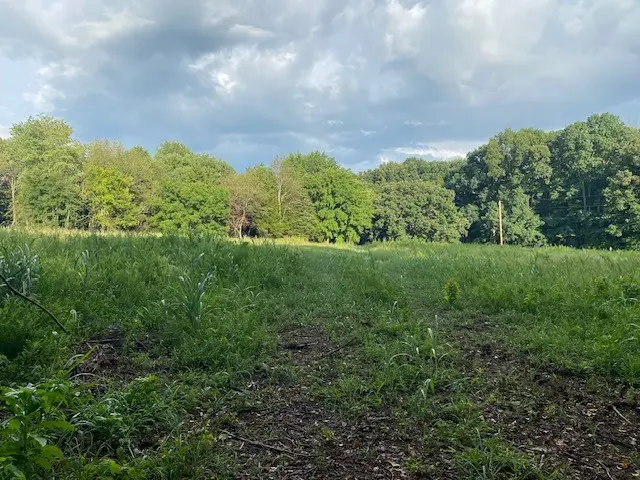 7882 Bill Moss Rd, White House, TN 37188 - #2