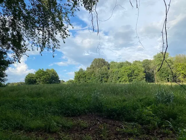 7882 Bill Moss Rd, White House, TN 37188 - #3