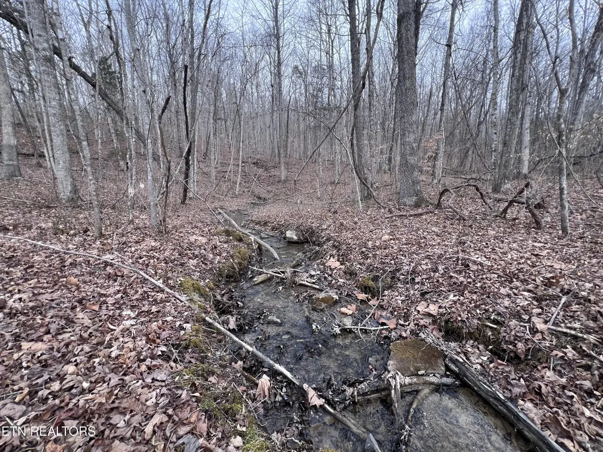 0 Buffalo Cove Lane, Jamestown, TN 38556 - #1